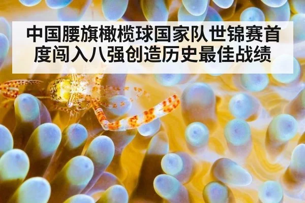 中国腰旗橄榄球国家队世锦赛首度闯入八强创造历史最佳战绩